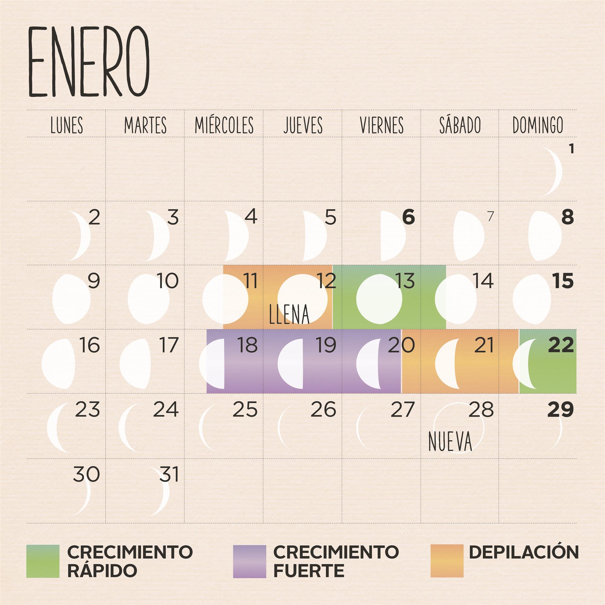 Lista 101+ Foto Calendario Lunar Septiembre 2022 Para Cortarse El
