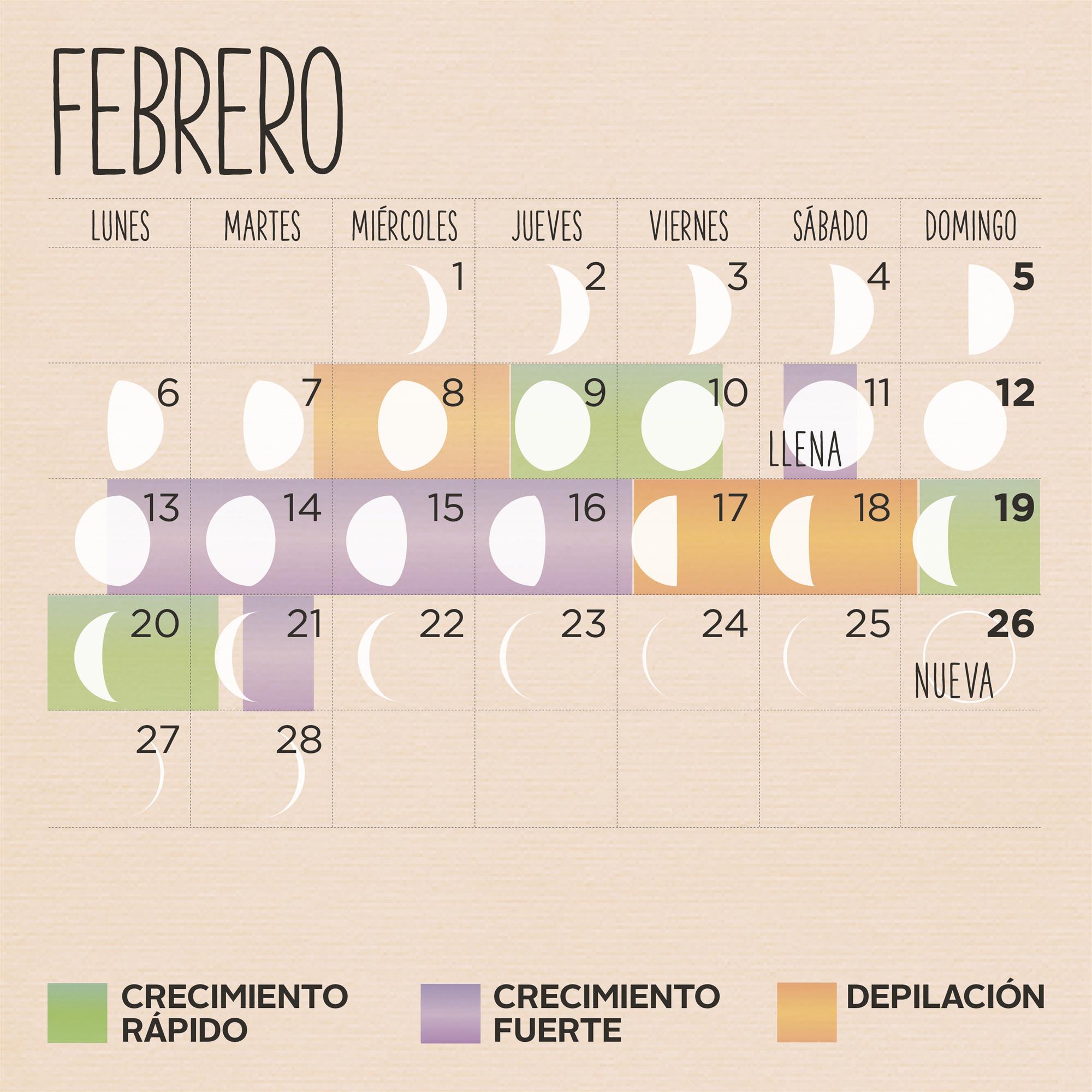 Calendario Lunar De Febrero Calendario Lunar Calendar vrogue.co