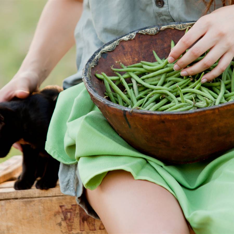 Sustitutos veganos para una cocina sana, ecológica y compasiva