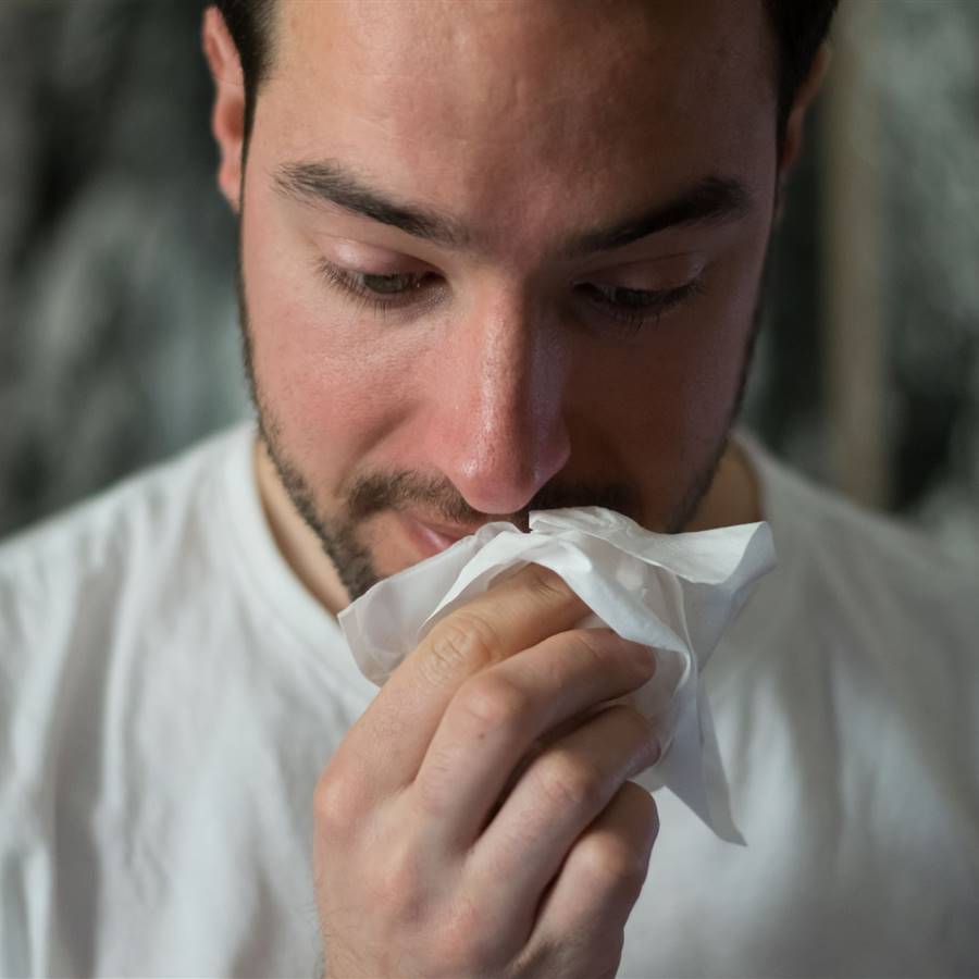 Cómo tomar quercetina para aliviar la alergia 