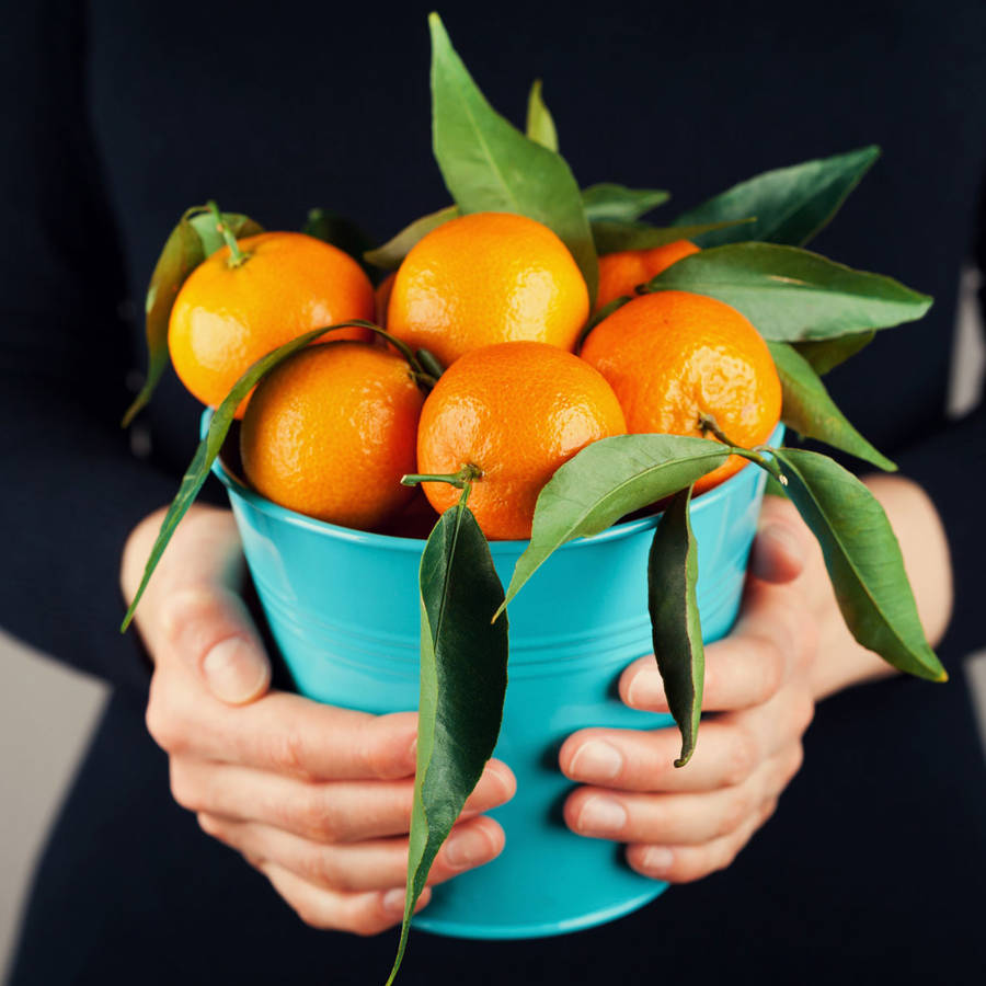 ¿Es bueno comer mandarinas cada día?