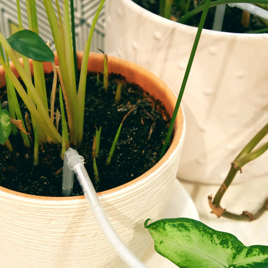 Riego por goteo casero: cómo diseñarlo para que a tus plantas no les falte ni les sobre el agua