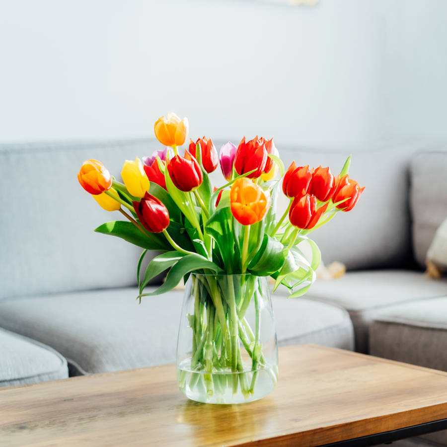 4 trucos para que los tulipanes se mantengan frescos en el jarrón