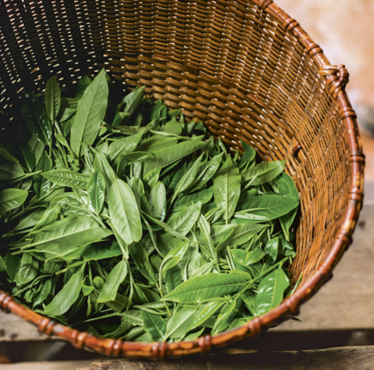 Té verde contra la celulitis
