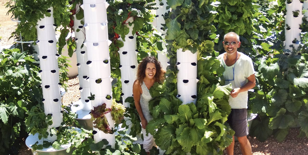 Ibiza farm, cultivo aeropónico