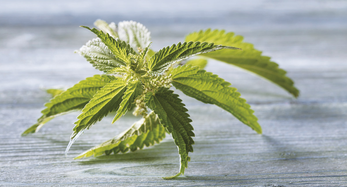 medicament natural pentru prostata