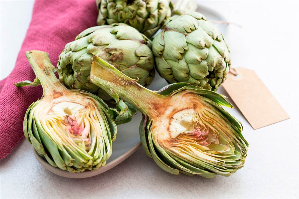 Виды артишоков. Artichoke Паула. Артишок испанский. Артишок плоды.