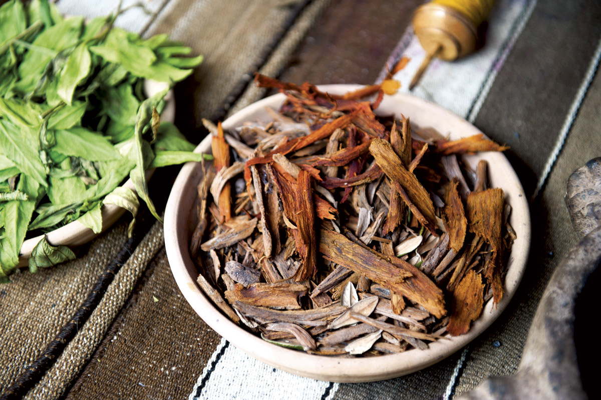 plantas para frenar la caída del cabello