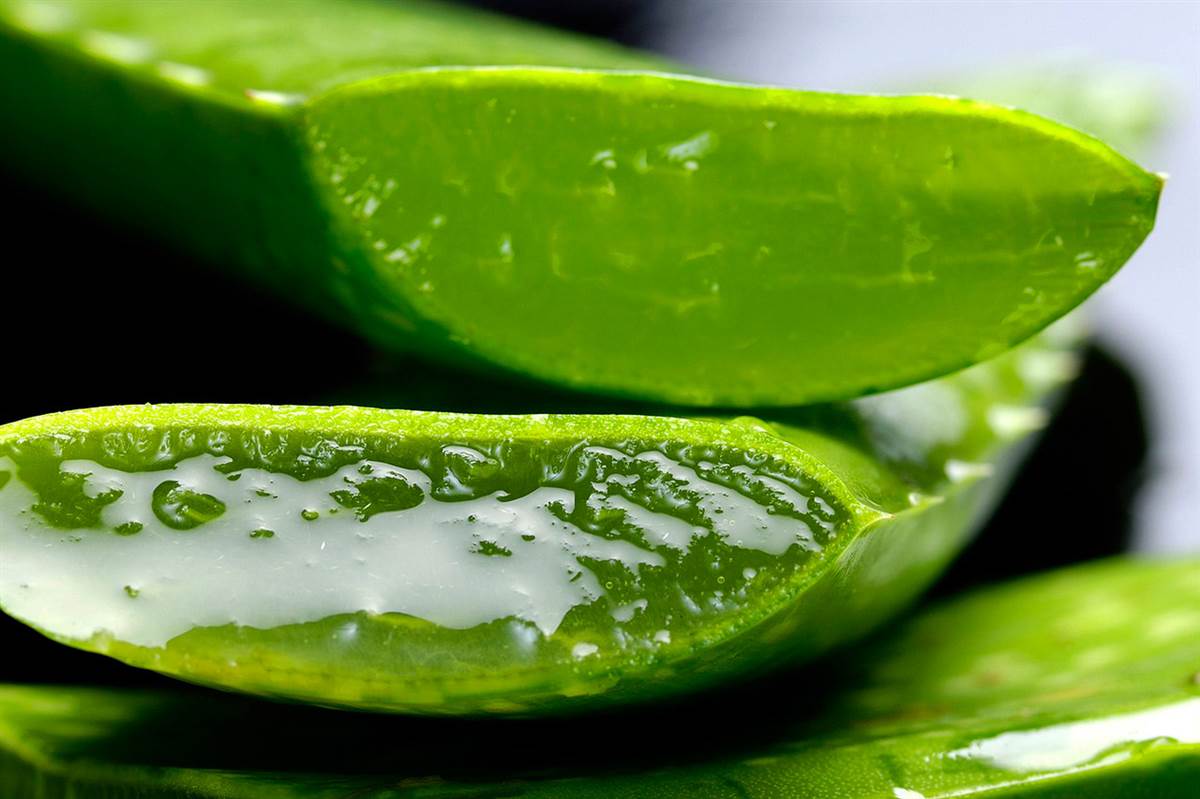 10 alimentos para protegerte de la úlcera de estómago 10 alimentos para protegerte de la úlcera de estómago