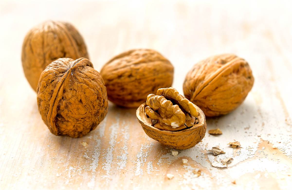 nueces cerebro. Nueces contra la inflamación de la piel