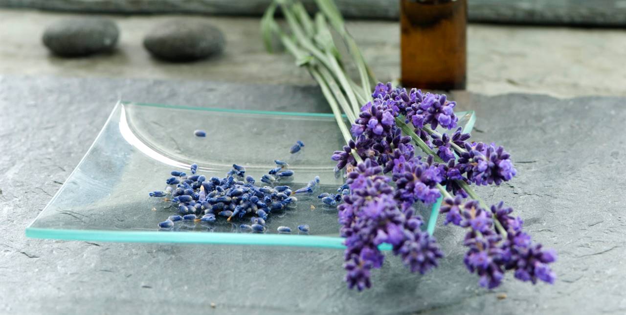 Aromaterapia oficina