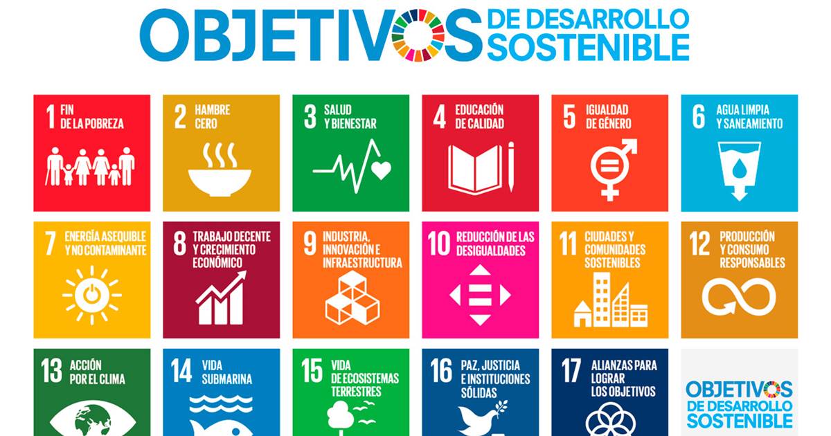 Expresión Plasticidad Notable Objetivos del desarrollo sostenible: los 17 objetivos para 2030