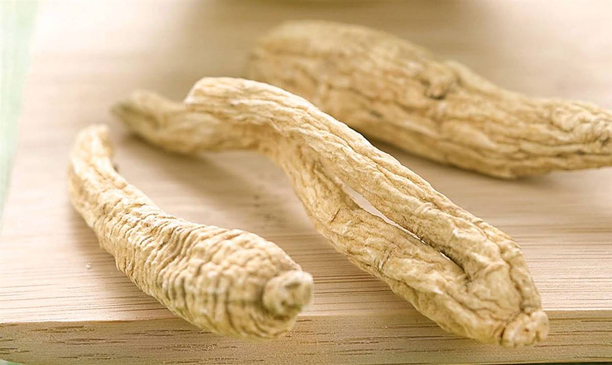 ginseng