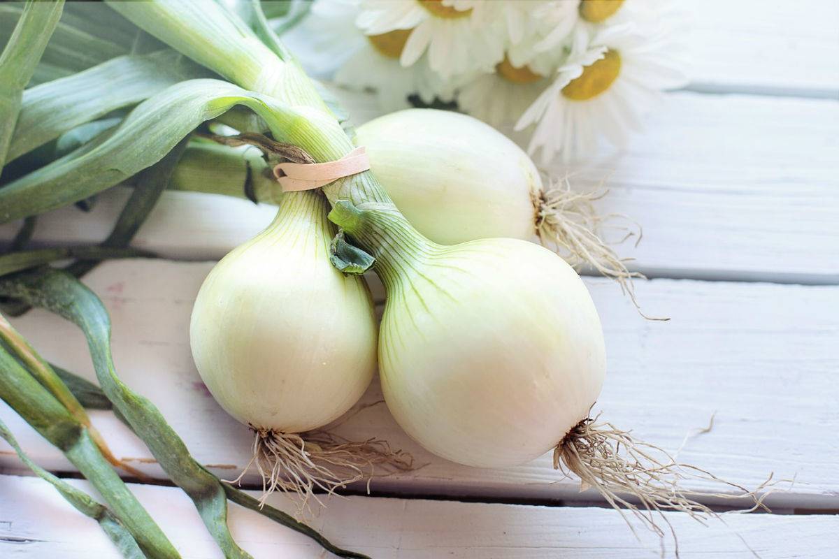7. Cebollas tiernas para tus ensaladas de primavera