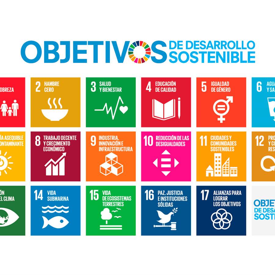 Objetivos del desarrollo sostenible: los 17 objetivos para 2030