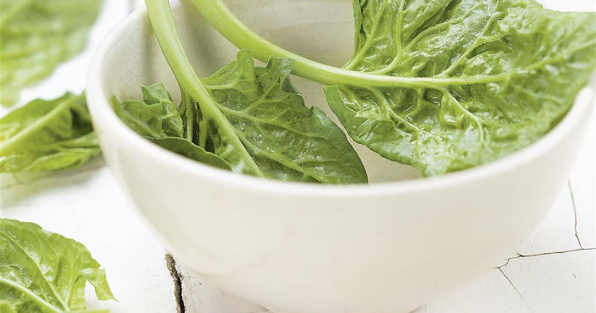 no relacionado Electropositivo paridad 7 alimentos vegetales ricos en hierro que se esconden en tu cocina no relacionado Electropositivo paridad 7 alimentos vegetales ricos en hierro que se esconden en tu cocina