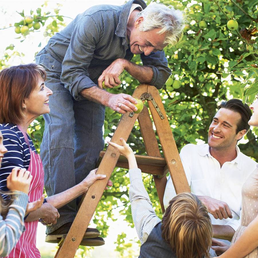 Abuelo subido a una escalera y familia riendo