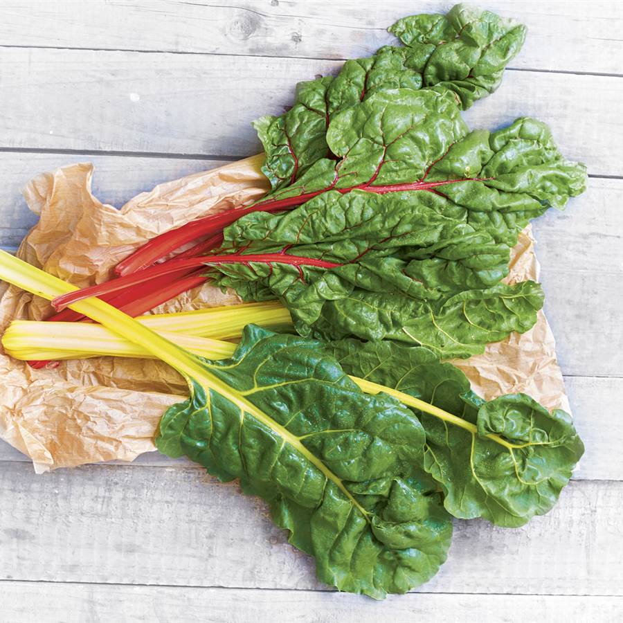 10 alimentos para nutrir tu cerebro
