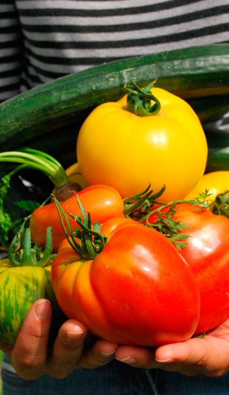 Alimentación más sostenible con alimentos vegetales