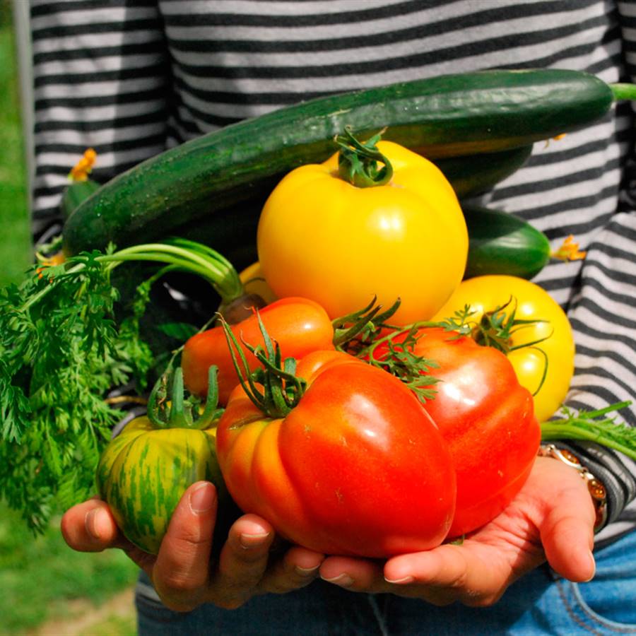 El cambio en tu dieta que más protege al planeta