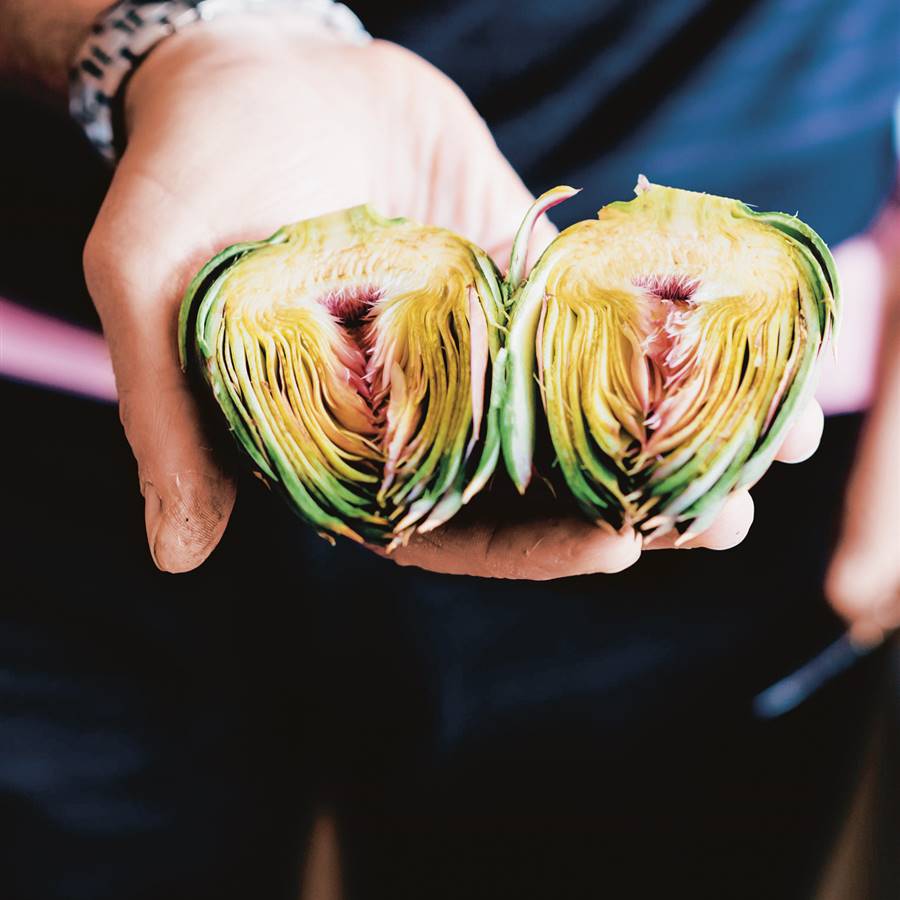 Alimentos desnaturalizados