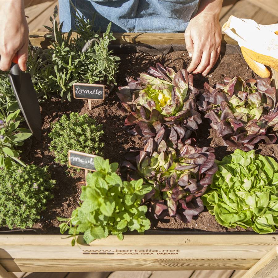 Los alimentos ecológicos reducen los tóxicos en el organismo