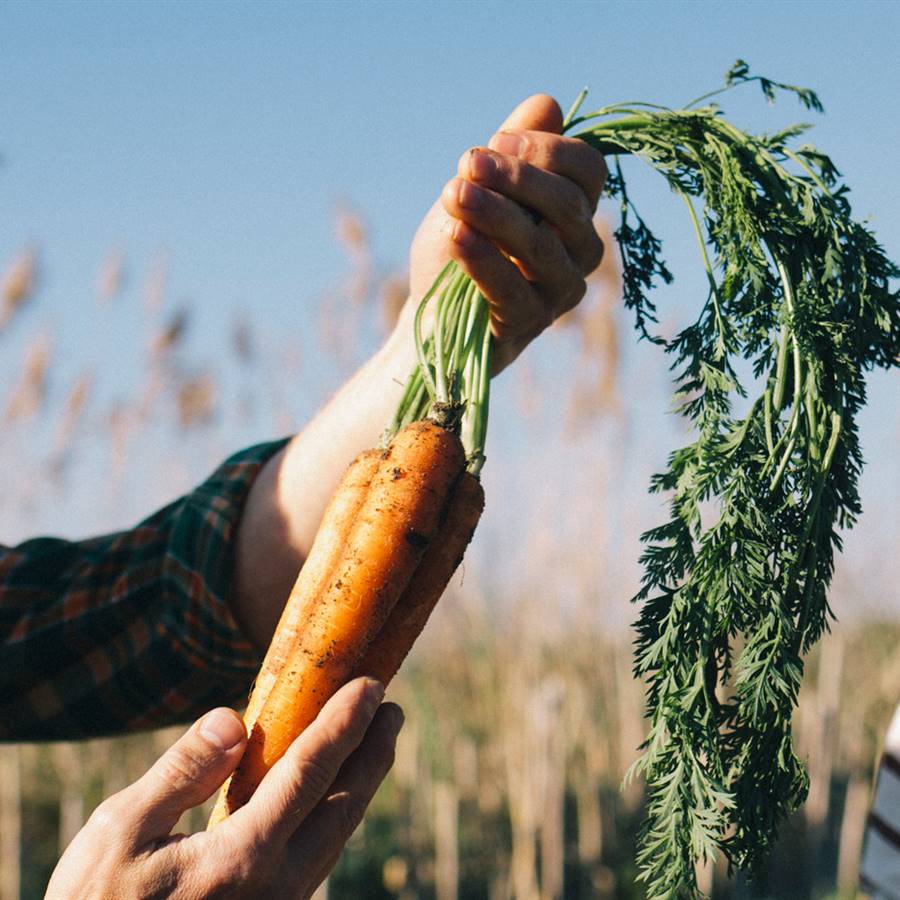 ¿Es mejor un alimento local o uno ecológico?