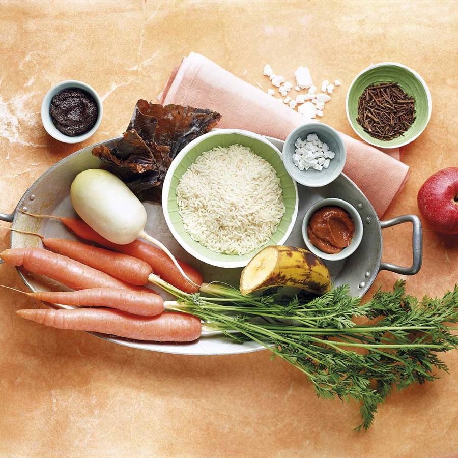 Alimentos terapeuticos diarrea