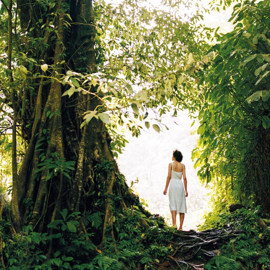 Lo que la naturaleza nos enseña sobre el amor (y que no sale en las películas)