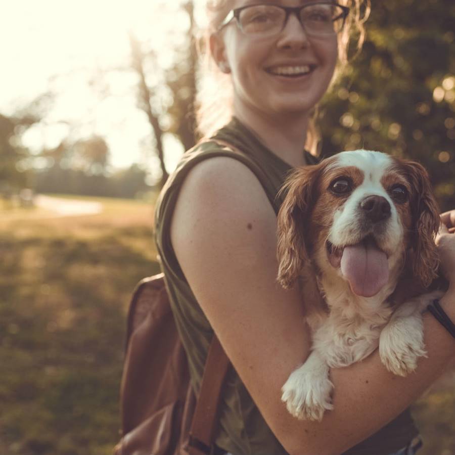 5 proyectos para ayudar a la naturaleza apadrinando