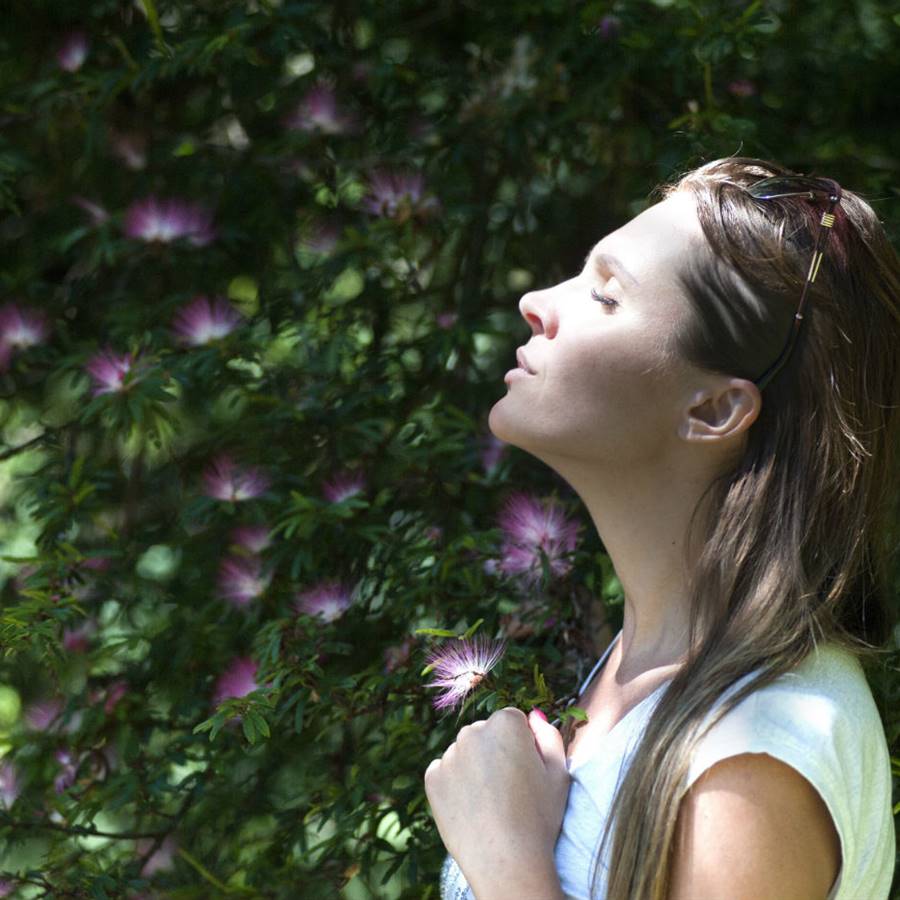 Plaquetas bajas: 5 formas de controlar el descenso de plaquetas