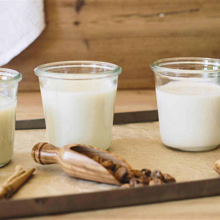 Leches vegetales, ¿son buenas para nuestra salud?
