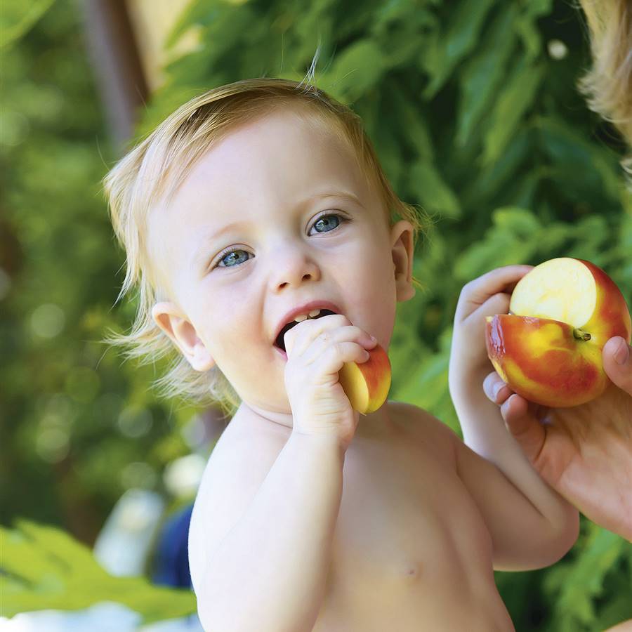 Se puede criar sin papillas. ¿Qué es el baby-led weaning?