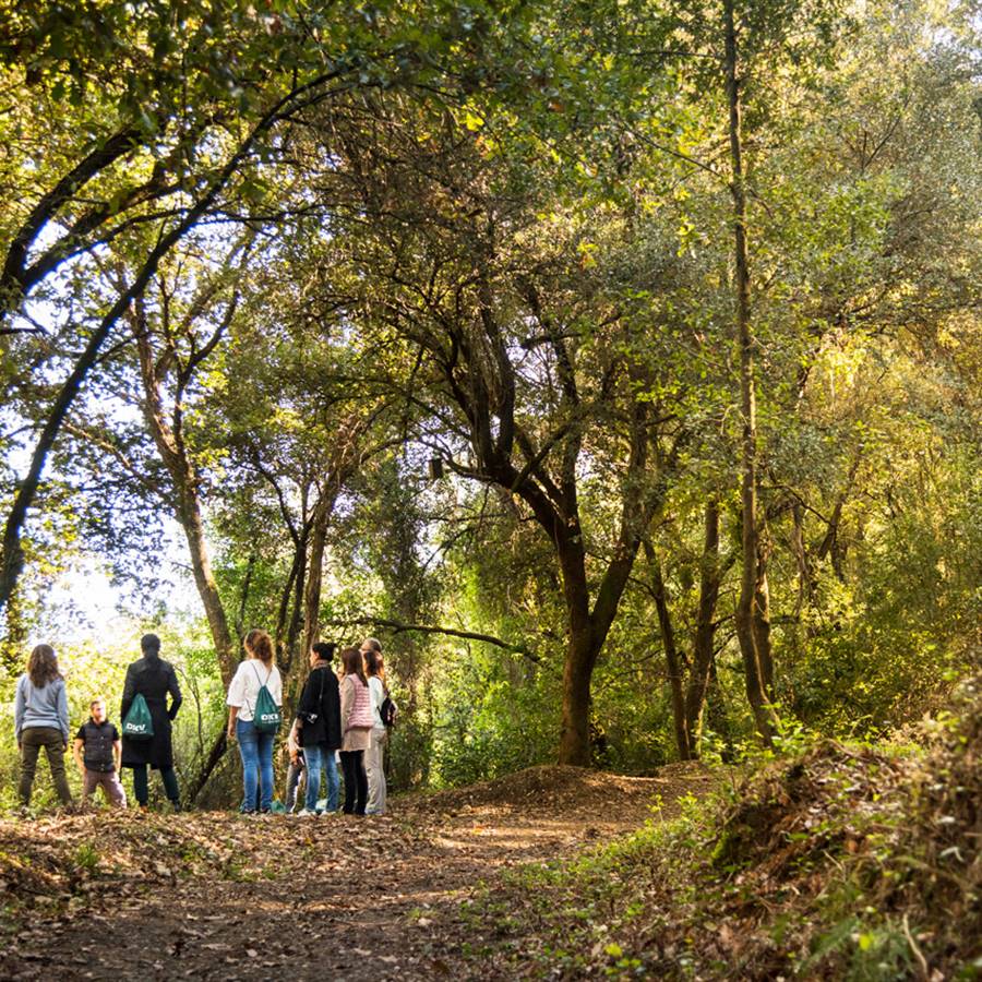 50 Frases de PERDERSE - En el camino y en la naturaleza