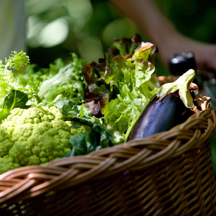 ¿Por qué es recomendable comer vegetales crudos?