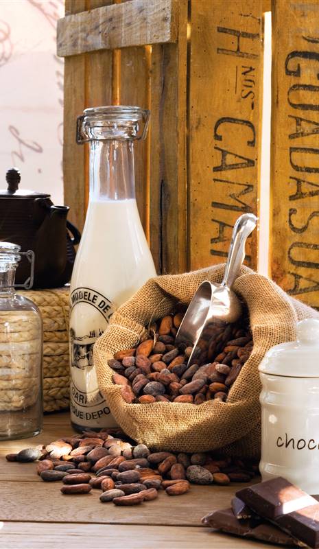 Beneficios del cacao puro