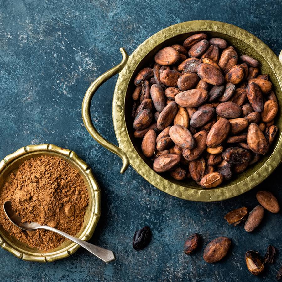 El poder del cacao: crudo y sin aditivos