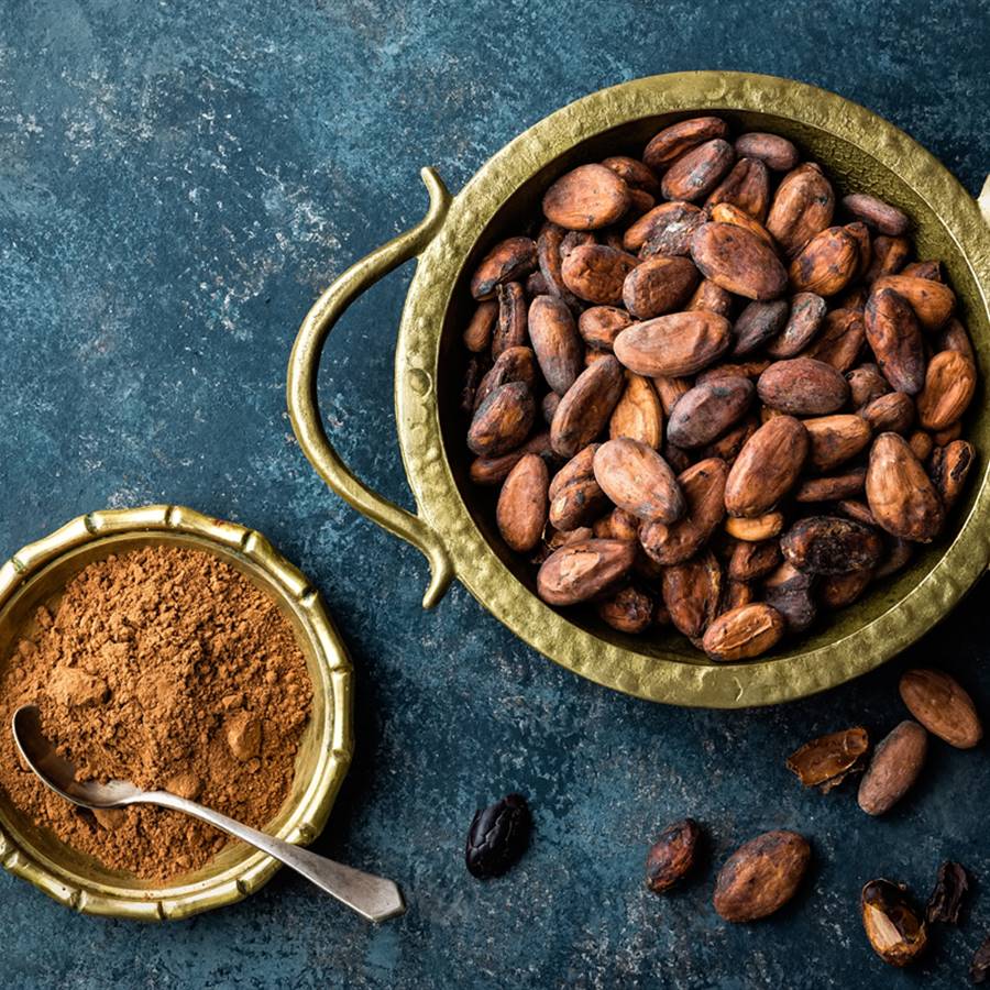 Beneficios del cacao