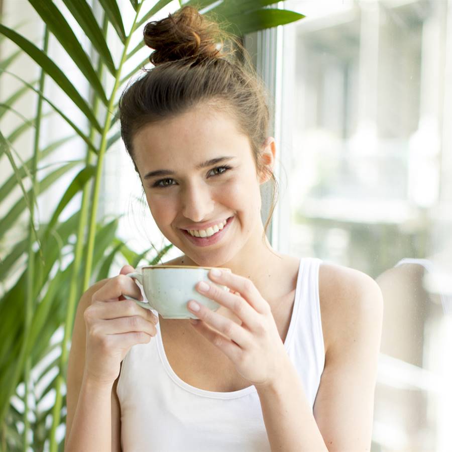 4 beneficios del hisopo y cómo utilizarlo