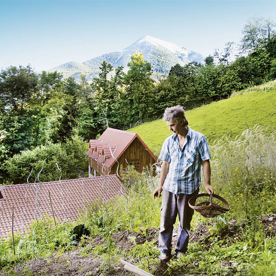 Una planta silvestre es más nutritiva que la cultivada