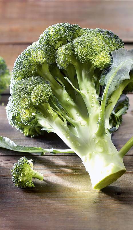 brócoli verdura crucífera