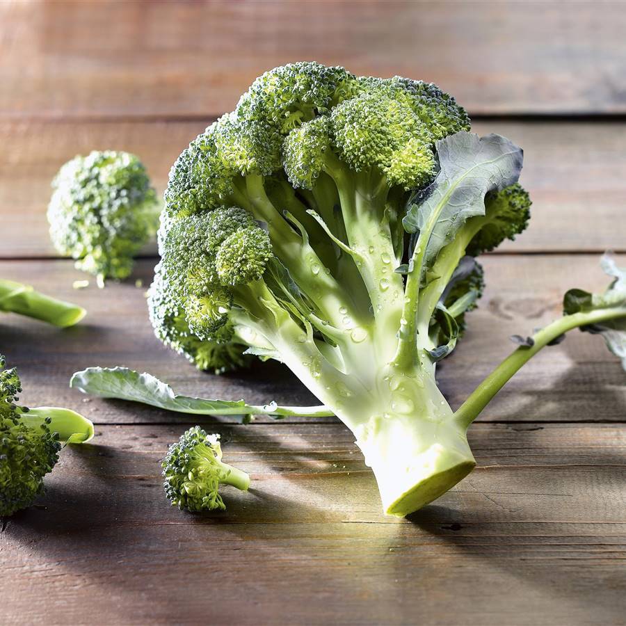 brócoli verdura crucífera