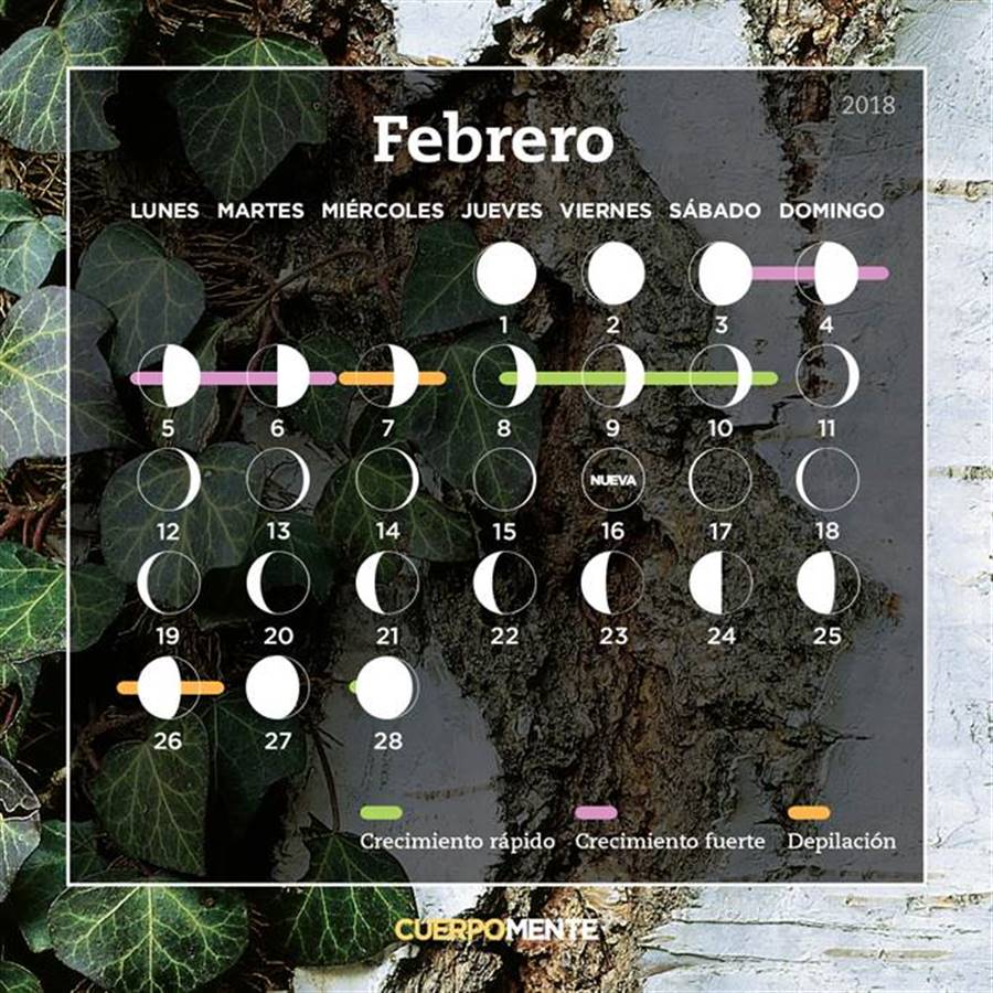 Calendario Lunar Febrero 2023 Chile De Arbol Seco IMAGESEE