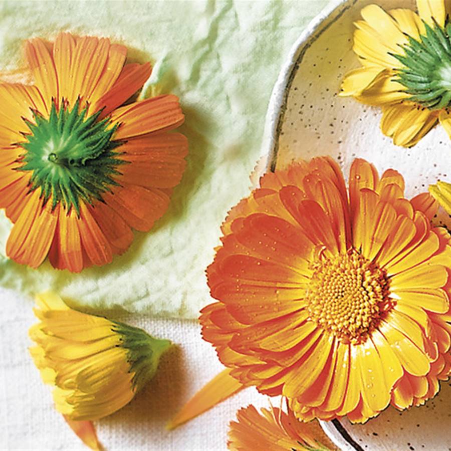 6 flores comestibles que podrás oler y saborear