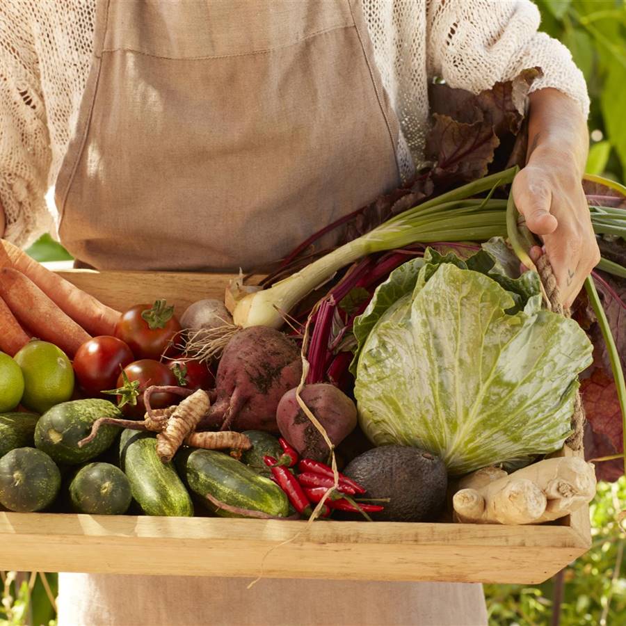 cesto de verduras para asar