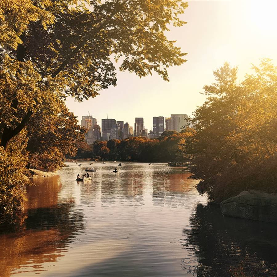 ciudad verde