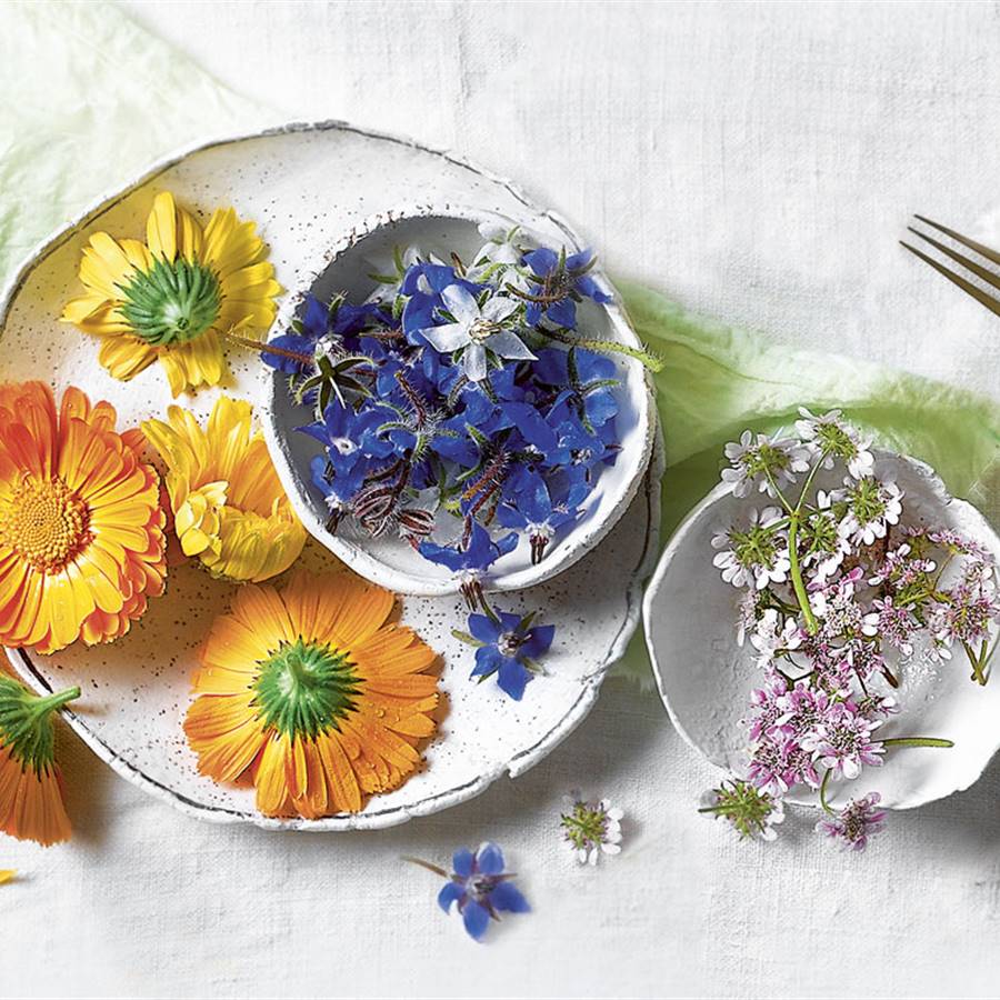 Cómo cocinar en primavera para equilibrar tu energía