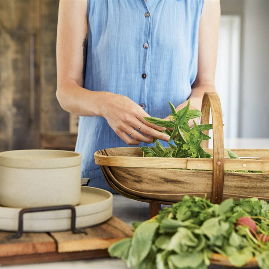 Cocinar plantas silvestres