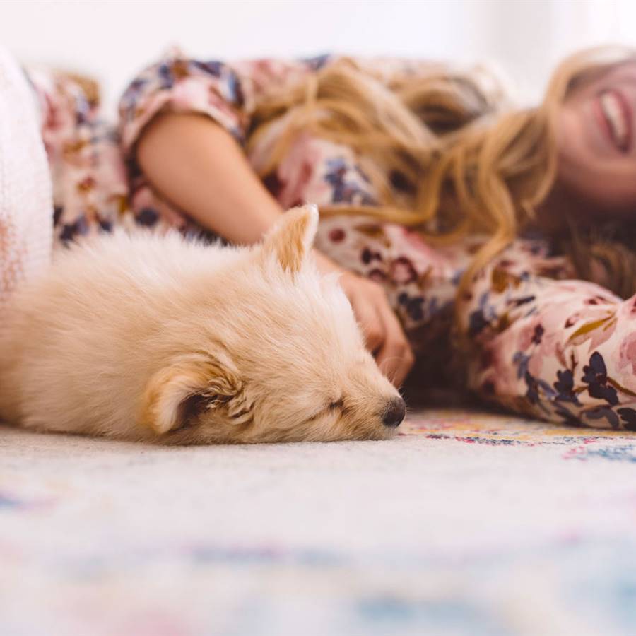 Cambia la relación con tu perro (y su conducta) en 8 pasos