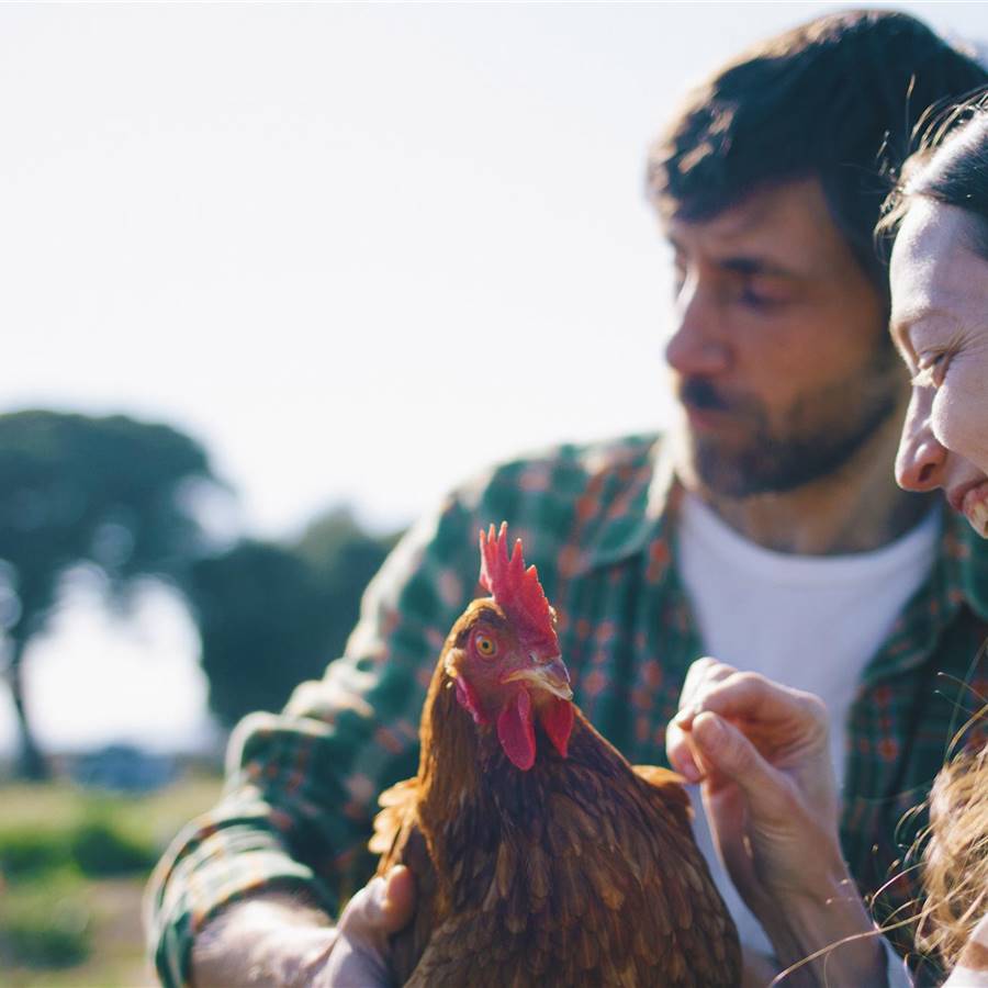 Veganismo: lo que oculta la industria cárnica 